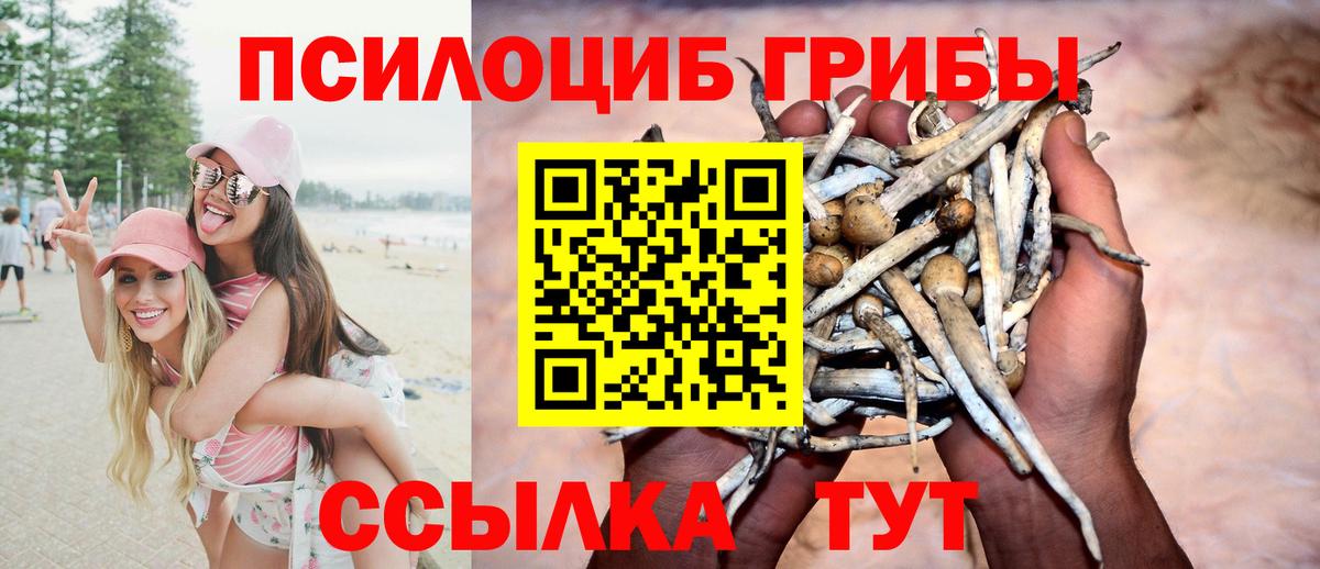 Кизилюрт  Галлюциногенные грибы Psilocybine cubensis  Вход с VPN  где купить   Псилоцибиновые грибы Psilocybe 